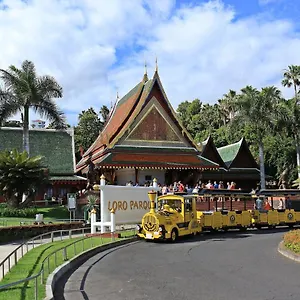 https://apto-drago-holidays.in-canary-islands.com